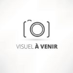 Corsac / Vincent